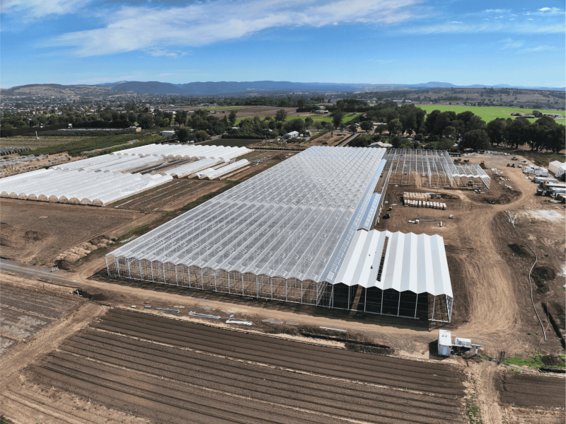 Screen Installation for Rijk Zwaan Australia